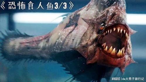 食人鱼3D,惊悚深海猎杀，生存之战一触即发