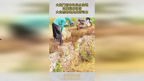 门前有块宝地,揭秘隐藏在平凡门前的神秘宝藏