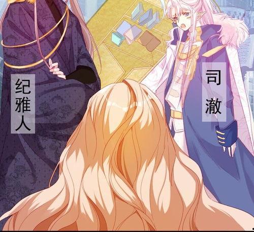 龙族新娘,神秘传说与爱情传奇的交织